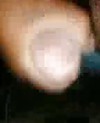 Afghan cock