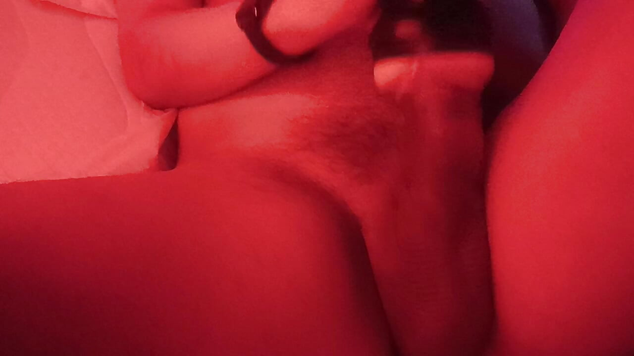 روز شیرم گرم کن ۱۵۷۵