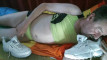 Pregled videozapisa