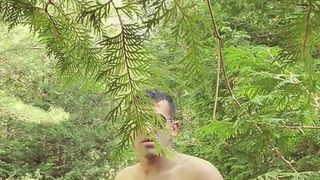 裸体走在树林里 2