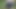 A beautiful mysterious stranger was fucked in the woods (POV)