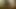 s001