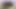 Amatör porno tay dash becerdin içinde pembe file çoraplar