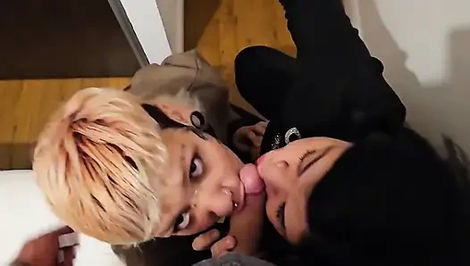 Latinler turist sütü alıyor