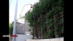 Pratinjau video
