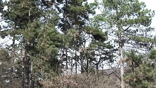 Удивительной французской блондинке разорвали задницу в лесу