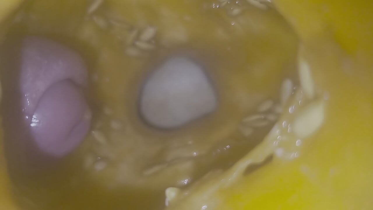 Cum  into melon