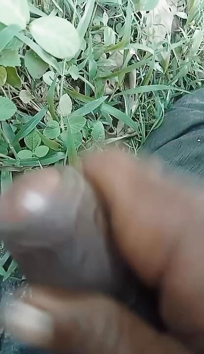 Jharkhand's black penis