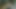 POV-beautiful Horny Latina Shows Me Her Sexual Skills in Her First Casting and I Can't Help Cumming in Her Mouth
