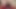 Desperate Amateurs Hot BBW MILF Babes Get Their Tight Pussies Pounded Hard by Big Cock