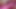 Hard-pink Leohex swimsuit teasing.