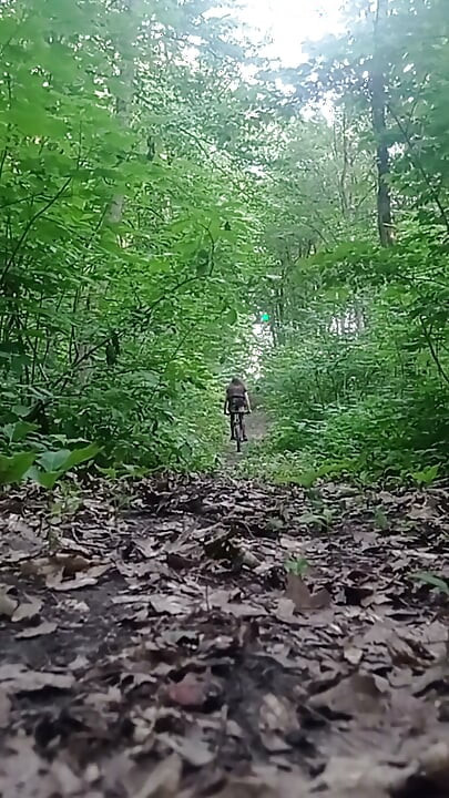 Saya, Dildo dan Hutan