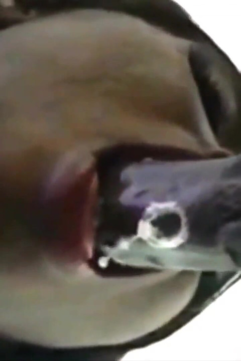 Perfect Lips-mouth Is Amazing!!!