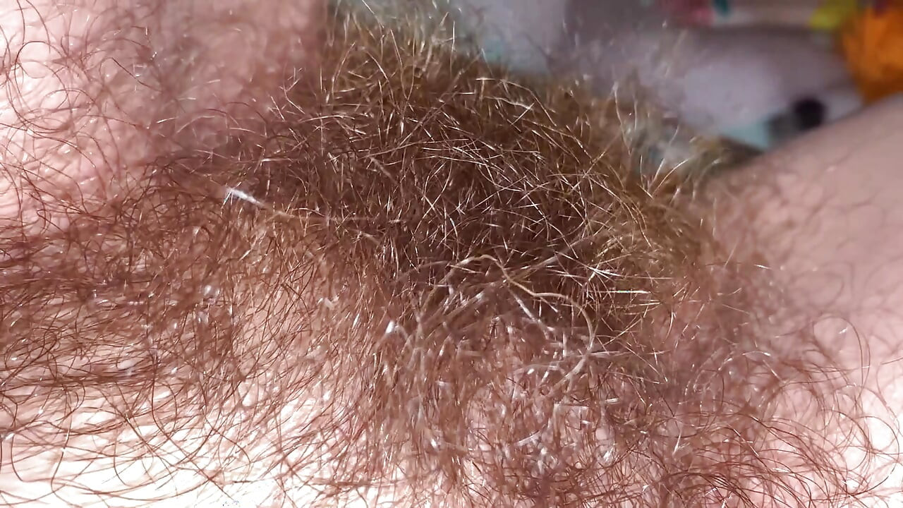 刷我的灌木