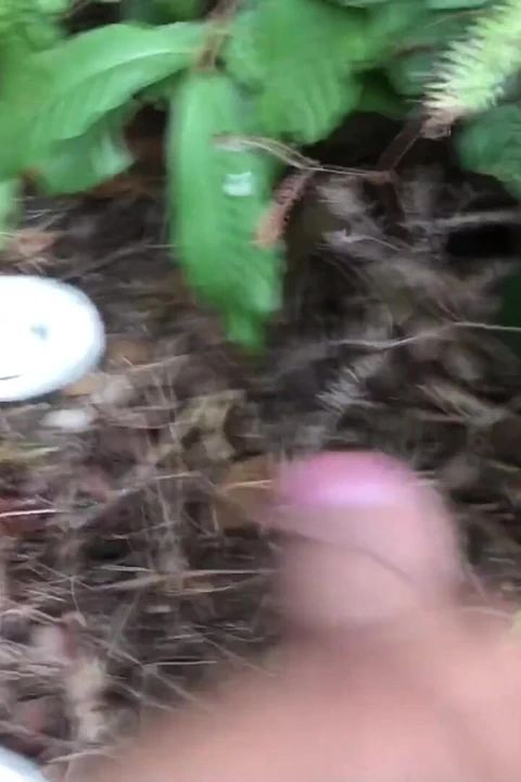 尼泊尔森林冒险 2.6