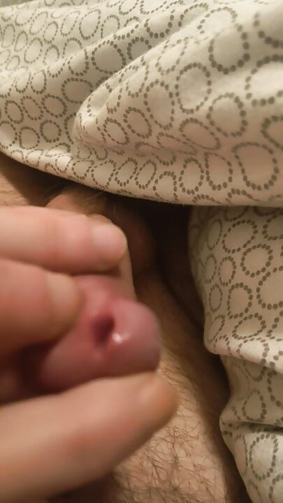 ควยฟรีสําหรับคุณ