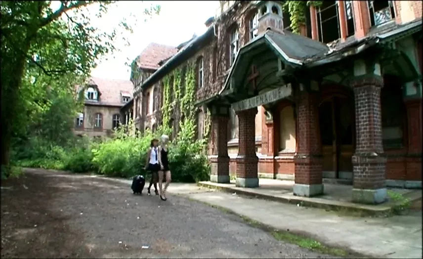 Demu tigung u der heilanstalt (ceo film)