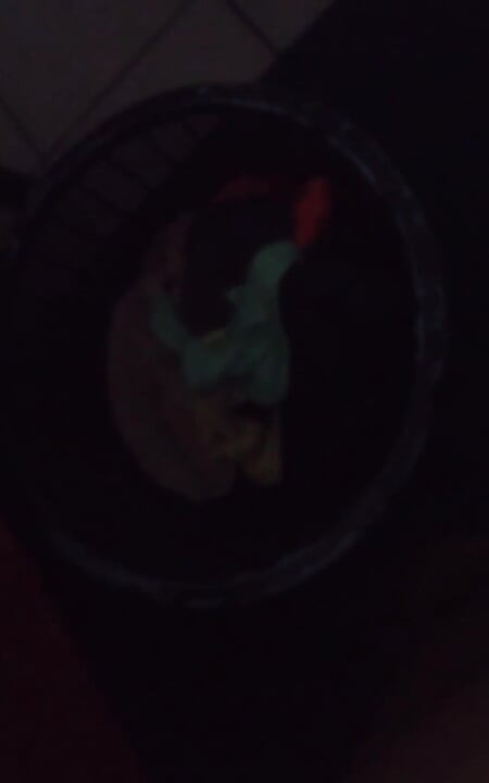 Eu me masturbo com a tanga usada da minha esposa e ela não nota