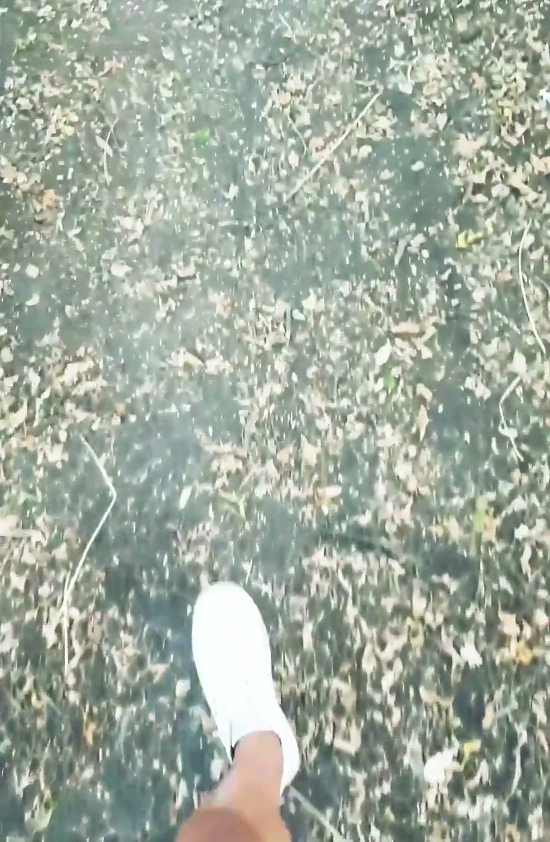 POV Naked Walk in the Woods,MaleModel