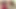 Ariana Fox and Lola Foxx are brown haired sapphics tasting
