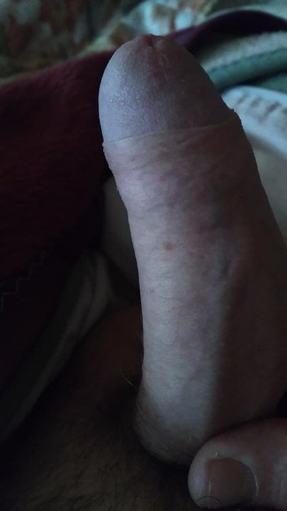 mi polla