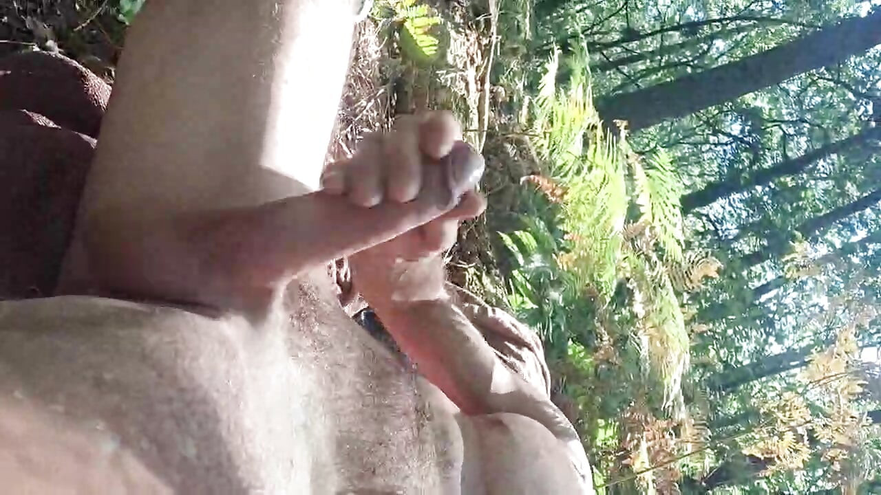 An hour of jerking in the middle of the forest, remi06cam4