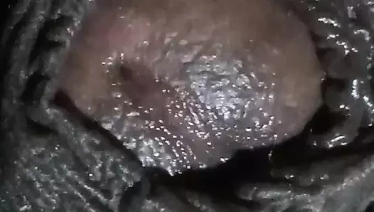 Komşumuzun kızı pilwa bütün gece beni sikti