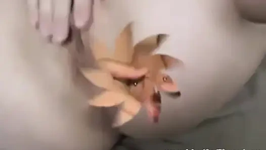 Татуированные и пирсингованная - пирсингованная и татуированная альт и эмо-крошки