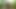 Jungle masturbation with triple cuming