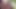 MISCELLANEOUS OUTDOOR MASTURBATION KINKS