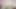 ZENRA VR JAV star Yukari Miyazawa lingerie teasing