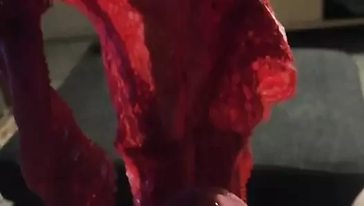 Cumming on my girlfriends panties
