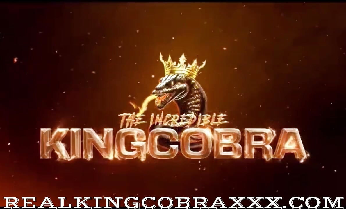 Sumpf-barbee will könig cobra BBC zum mittagessen