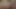 Asiatin ama2
