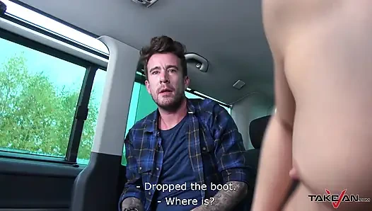 Sarışın iq testi - tatlı kedi