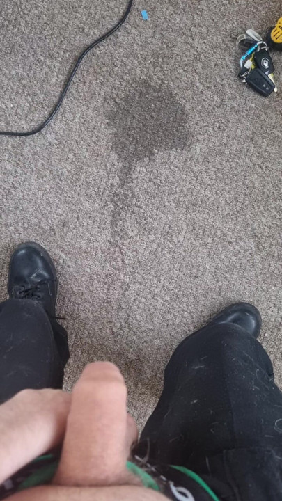 Pissing on carpet (for fun).