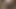 Dildo Testi
