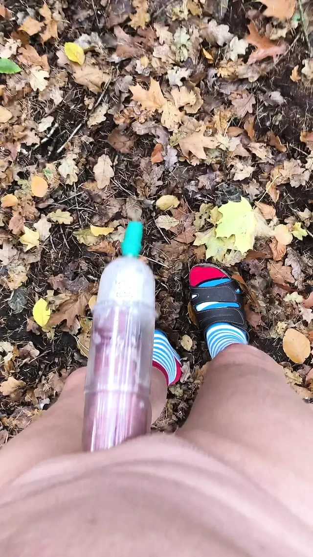 In the forest 🌳