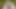 I Seduced a Stranger in the Forest and He Fucked Me in All My Holes - POV
