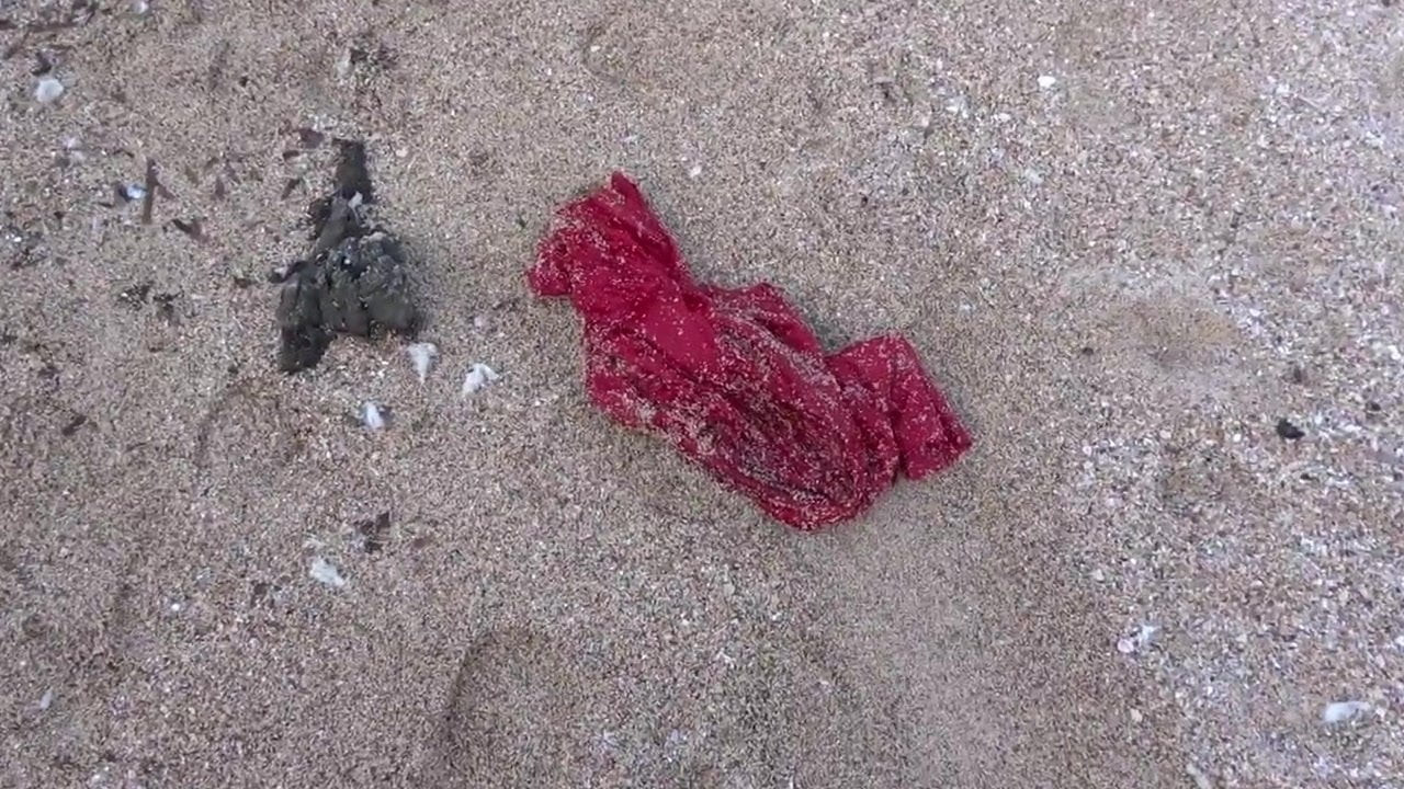 red dress 1 kicked at the beach