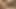 Seksi büyük ganimet beyaz kız crawls için sikme büyük siyah horoz