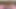 Cute Chubby Thai Whore Gets Impregnated and Corked