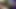 Mega  HFO electro tribute cum for SquirtingFeeder