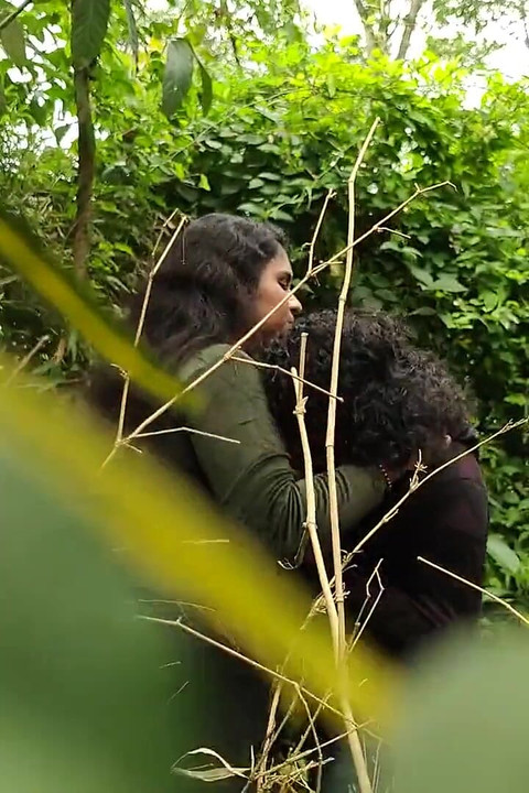 인도 정글 섹스 비디오