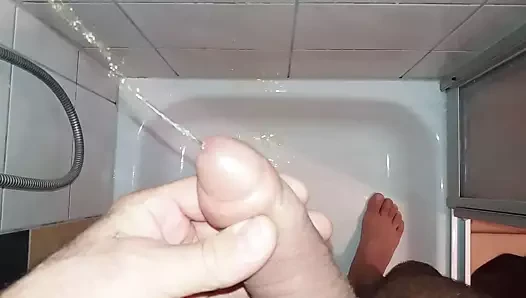 penis