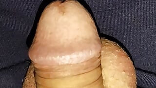 penanda dalam Urethra