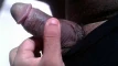 Video pregled