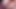 Vintage Thick PAWG Glasses Facial! Sky BBW