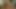 Cute Teen Katie Kingerie gives Sensual Intense Handjob and Makes Me Explode