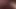 Cassandra sucking cock